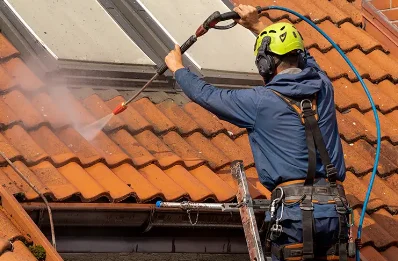 Démoussage et hydrofuge de toiture à Cronce